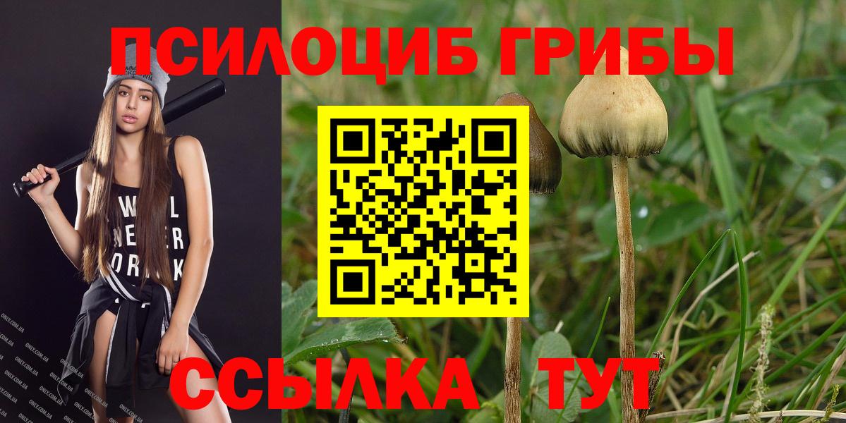 Горячий Ключ  Псилоцибиновые грибы Cubensis  Вход с VPN  Галлюциногенные грибы Psilocybe 