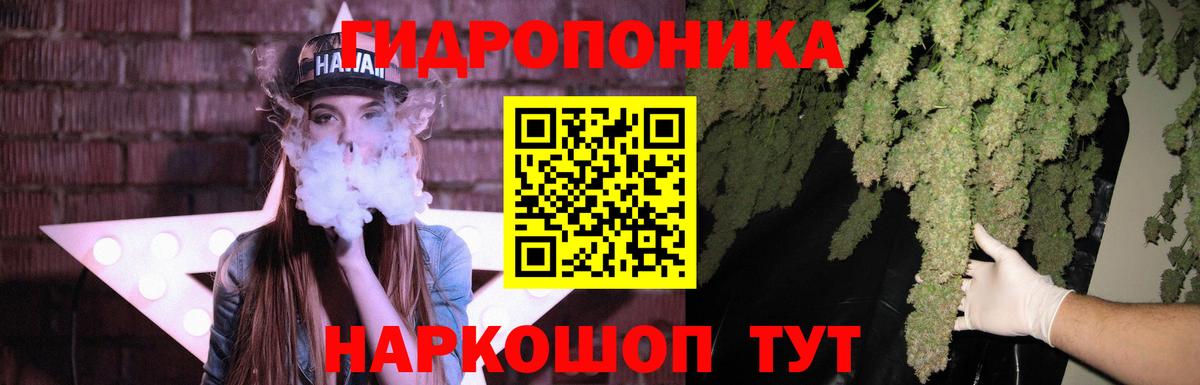 Бошки Шишки Bruce Banner Горячий Ключ